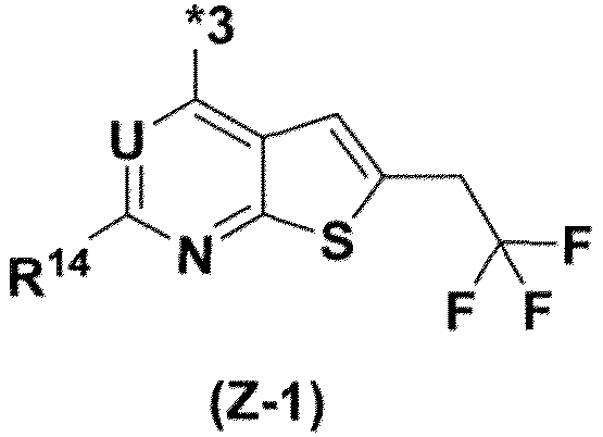 Figure imgb0004