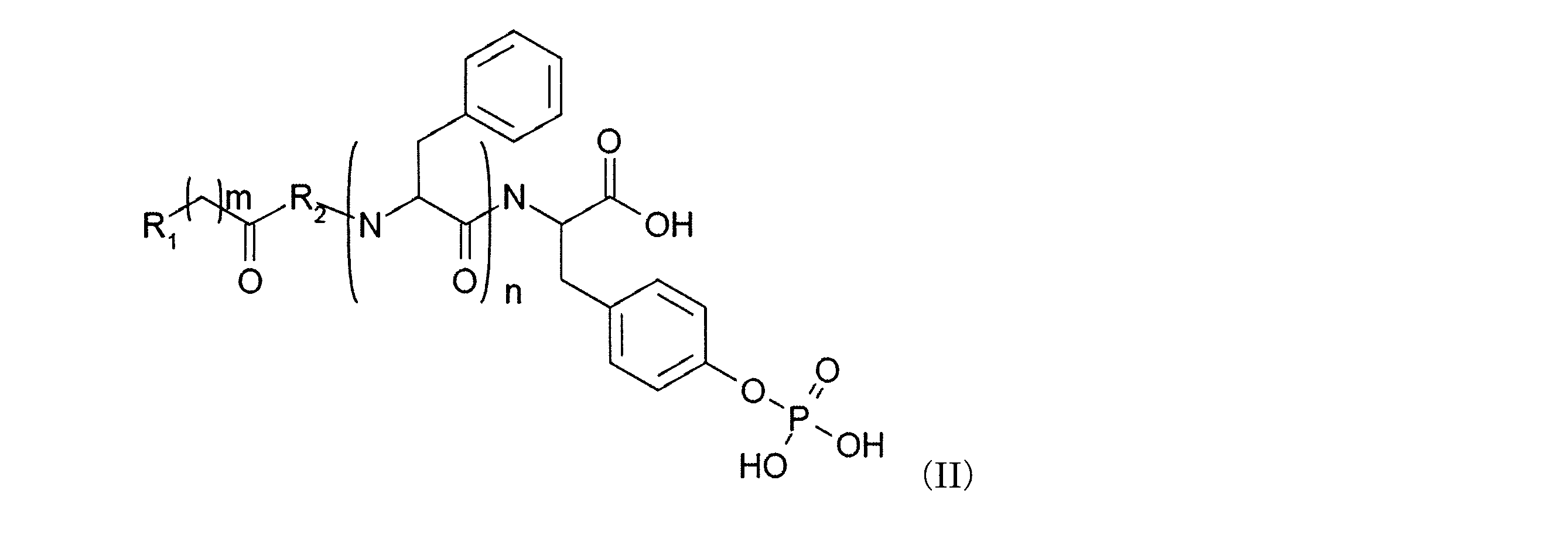 Figure JPOXMLDOC01-appb-C000002