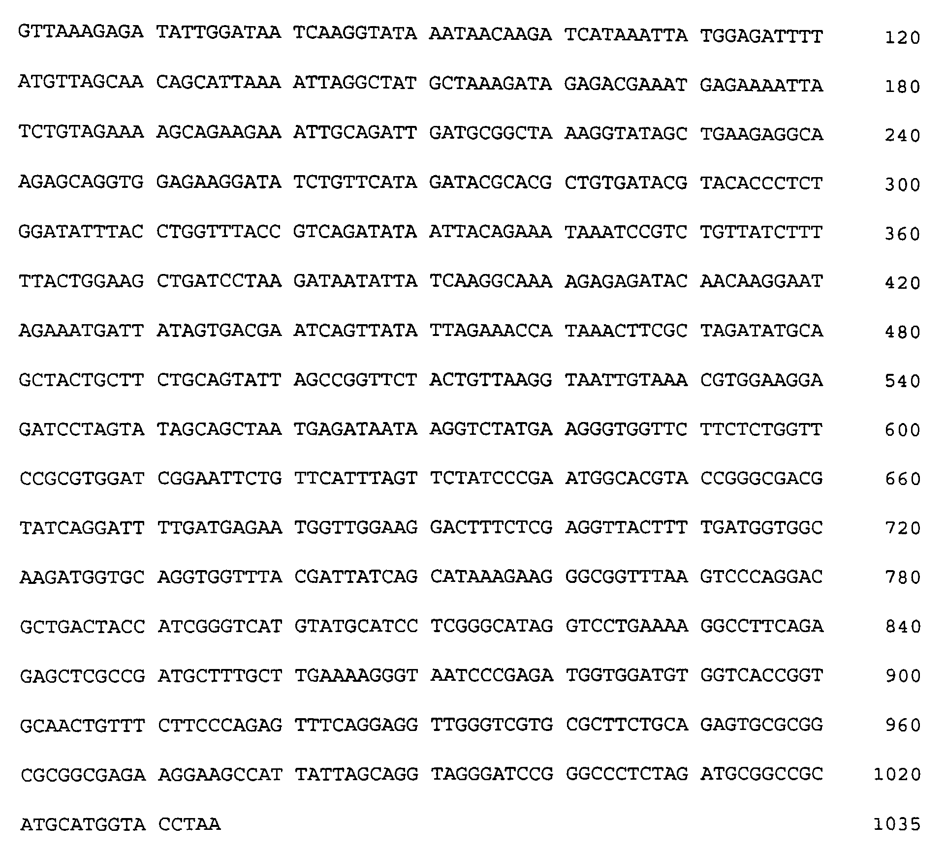 Figure 00490001