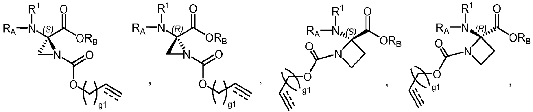 Figure imgb0197