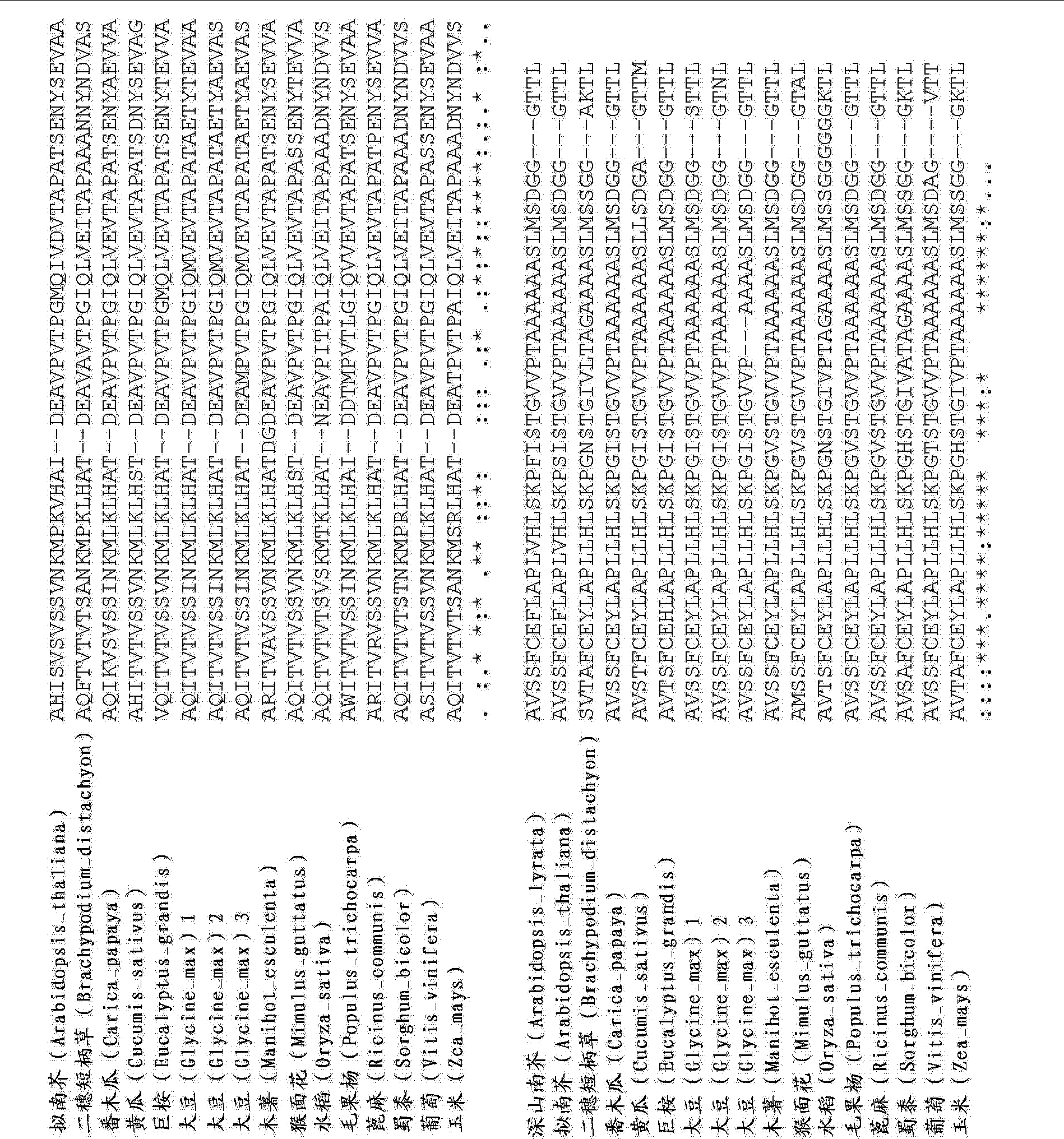 Cna 抗旱植物和使用转录调节子制备其的方法 Google Patents Cna 抗旱植物和使用转录调节子制备其的方法 Google Patents