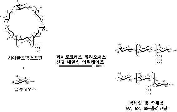 Krb1 Enzymatic Preparation Of Highly Purified Maltooligosaccharide Google Patents