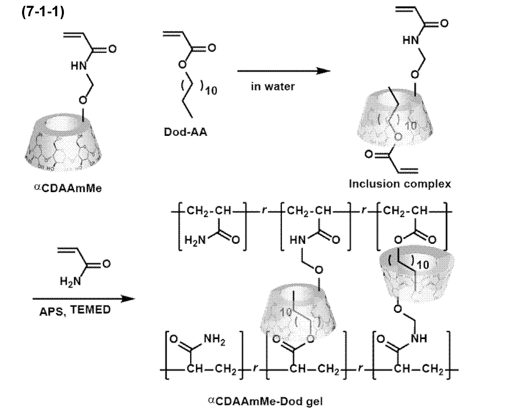 Figure JPOXMLDOC01-appb-C000031