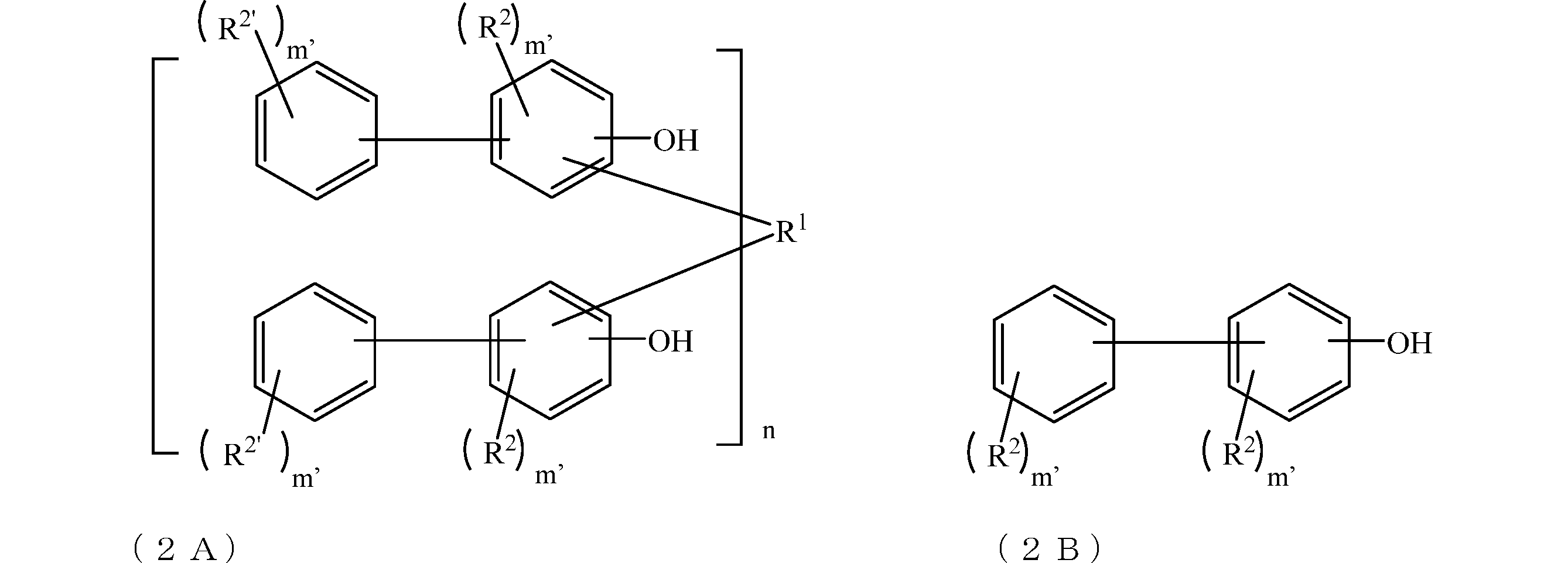 Figure JPOXMLDOC01-appb-C000012