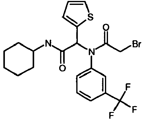 Figure imgb0111