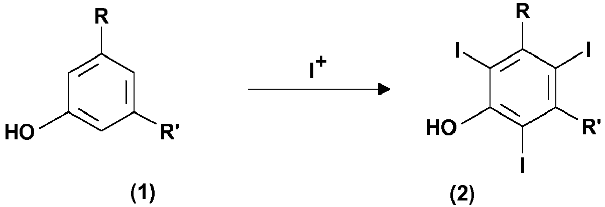 Figure imgb0002