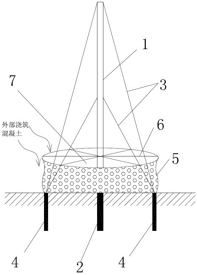 Figure 202010339309