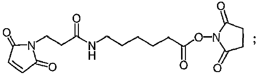 Figure imgb0054
