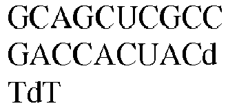 Figure imgb0255