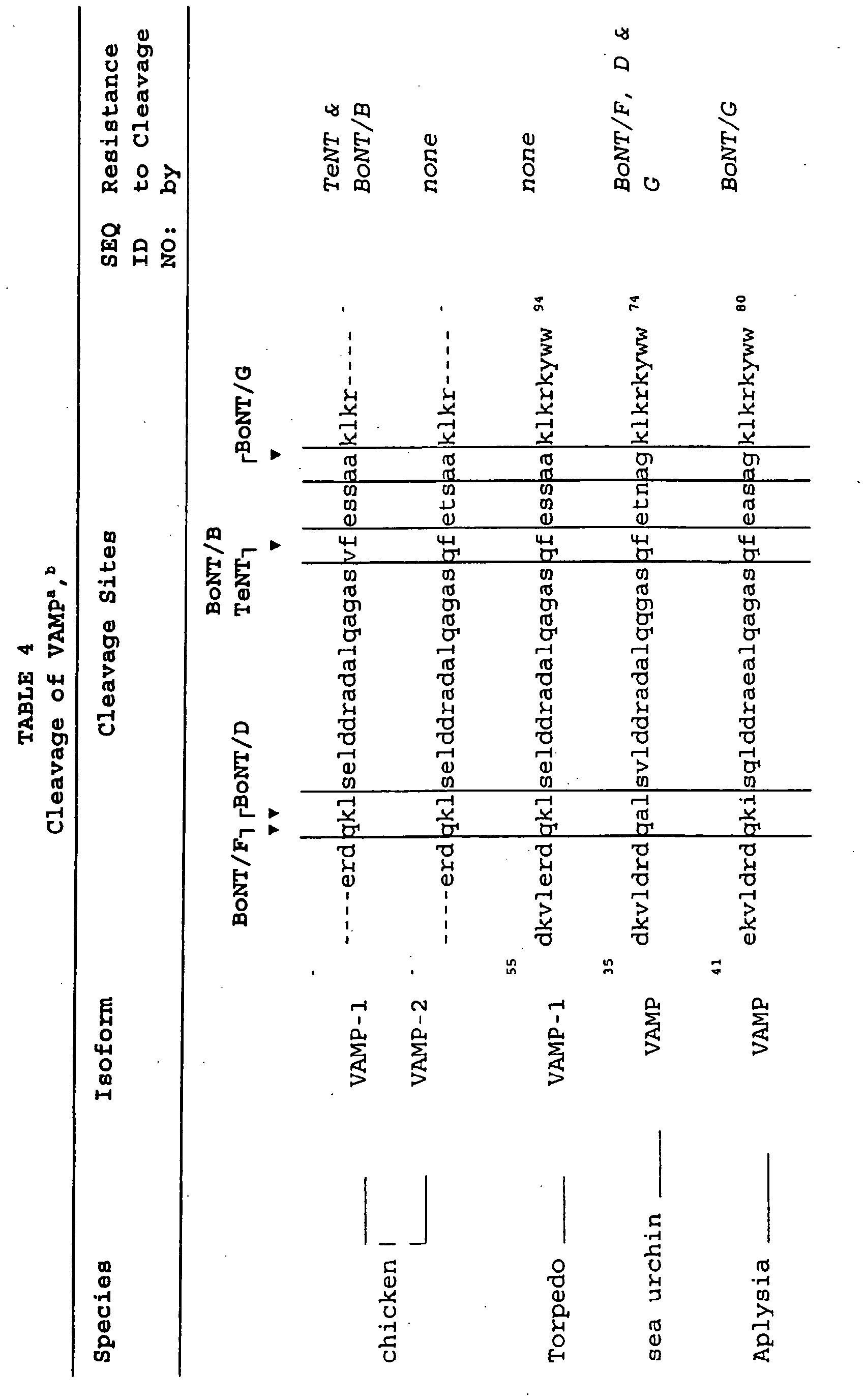 Figure imgb0004