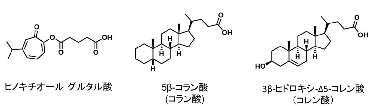 Figure JPOXMLDOC01-appb-C000011