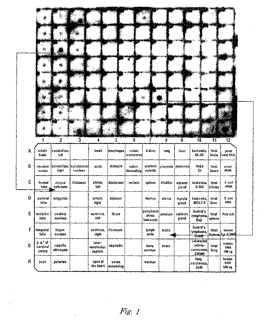 Figure 00000001