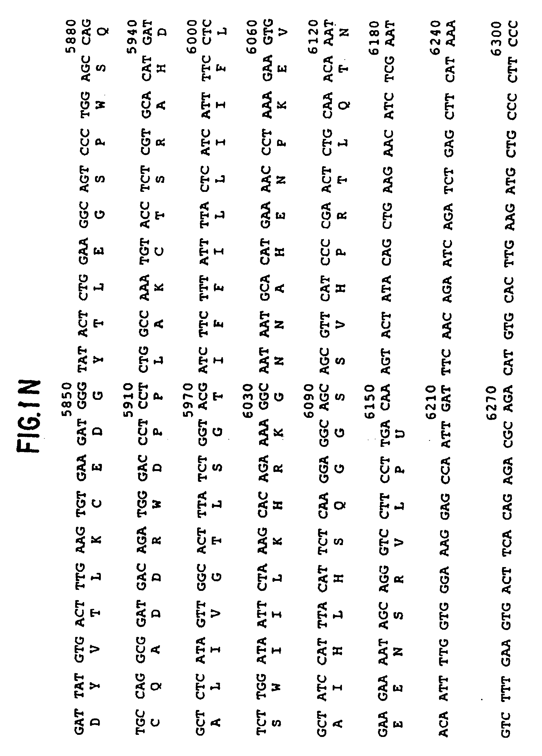Ep0502892b1 The Human C3b C4b Receptor Cr1 Google Patents