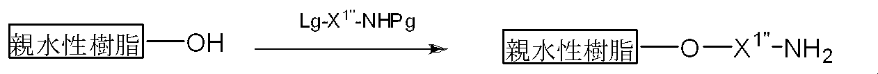 Figure JPOXMLDOC01-appb-C000014