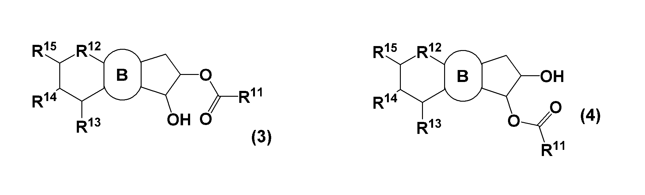 Figure JPOXMLDOC01-appb-C000006