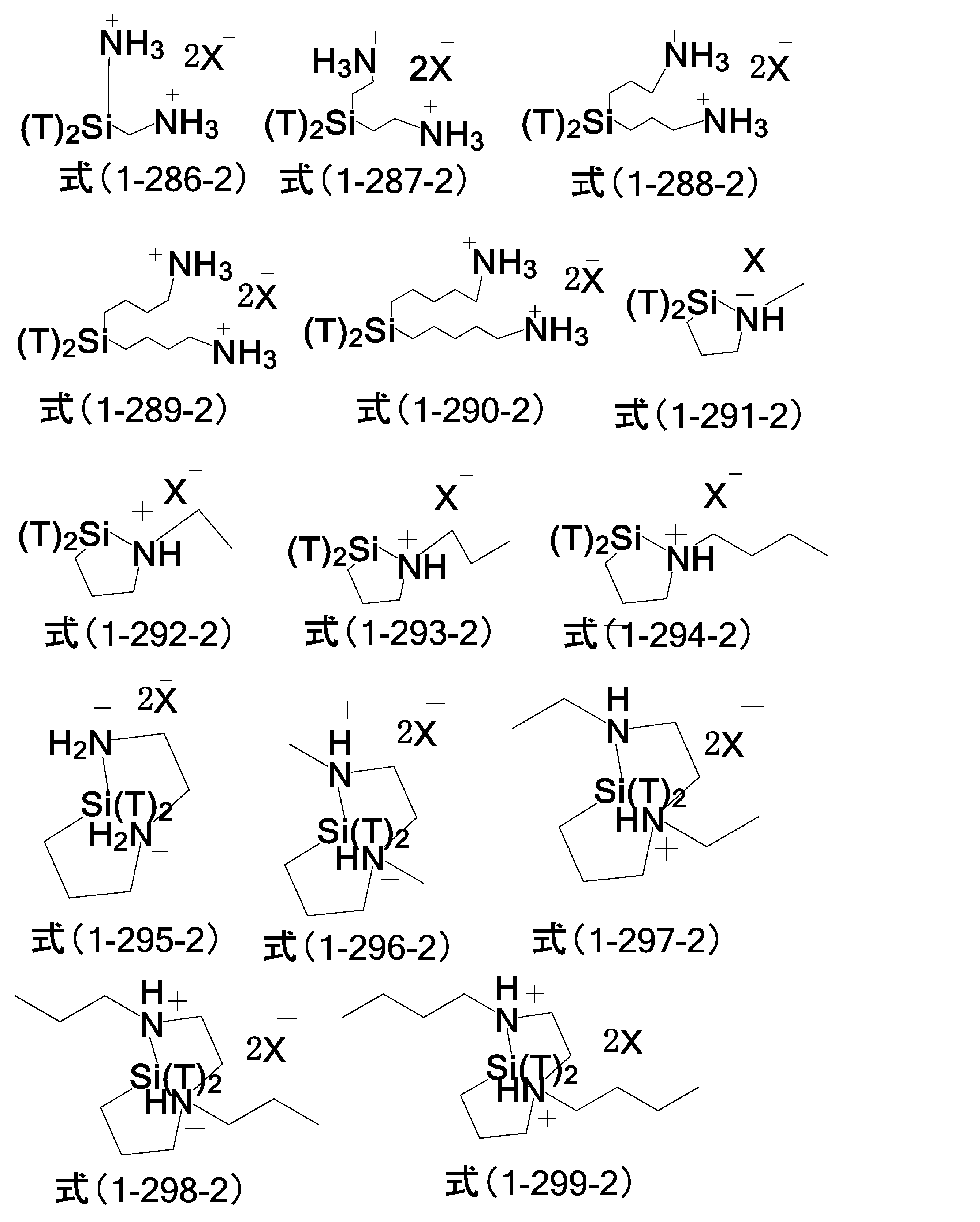 Figure JPOXMLDOC01-appb-C000076