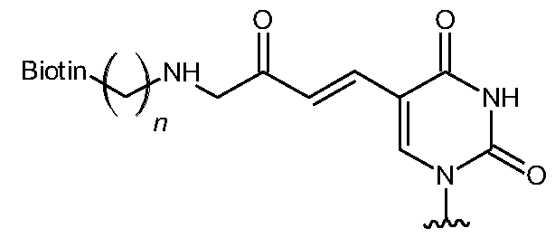 Figure imgf000055_0002