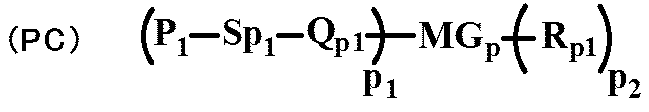 Figure JPOXMLDOC01-appb-C000029