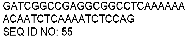 Figure imgb0022
