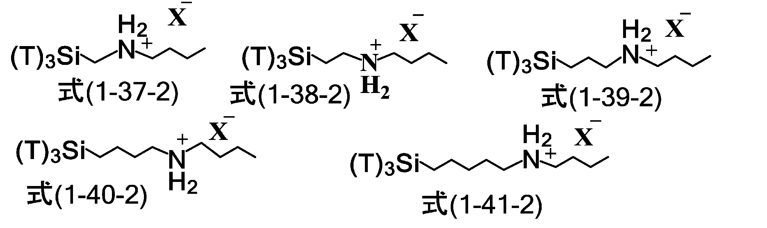 Figure JPOXMLDOC01-appb-C000051