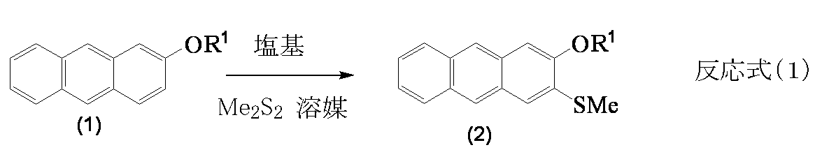 Figure JPOXMLDOC01-appb-C000010