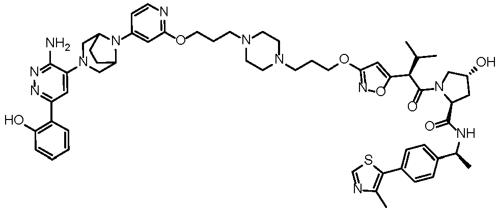 Figure imgb2093