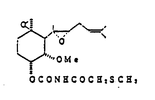 Figure imgb0076