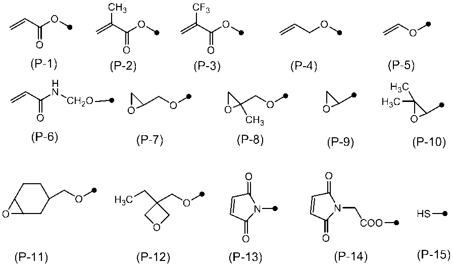 Figure JPOXMLDOC01-appb-C000016