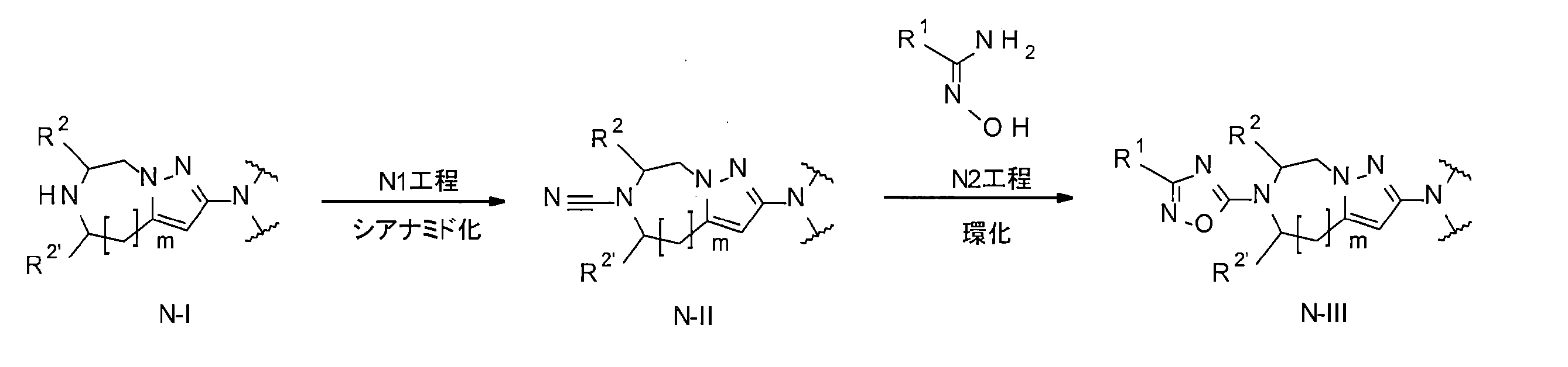 Figure JPOXMLDOC01-appb-C000041