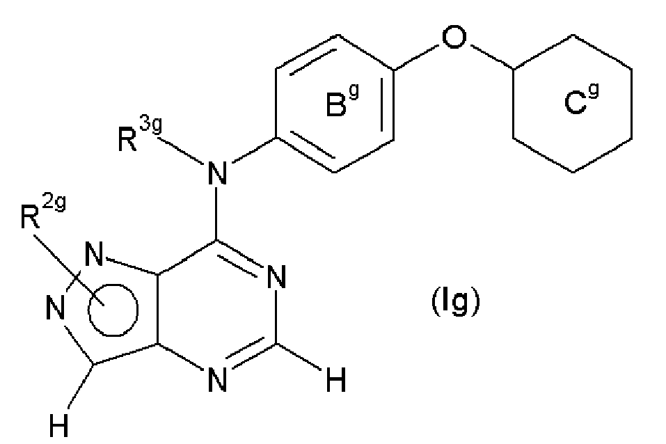 Figure imgb0010