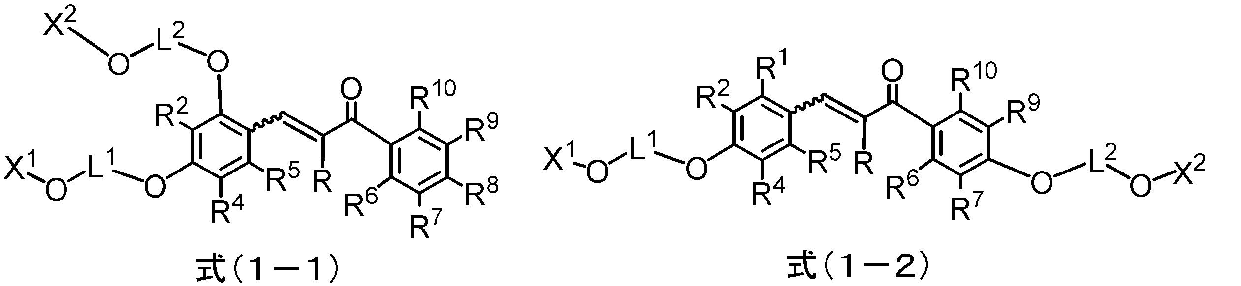 Figure JPOXMLDOC01-appb-C000008
