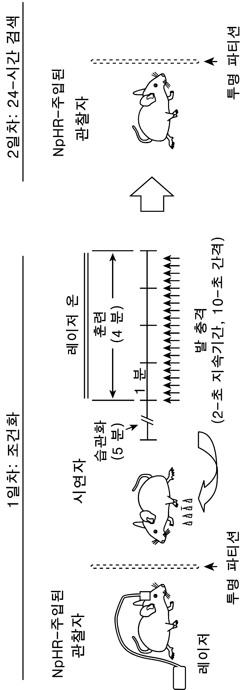 특허 도면 20