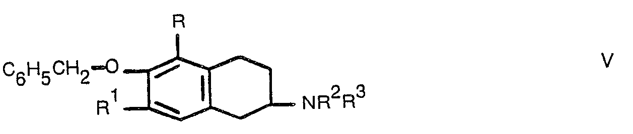 Figure imgb0048