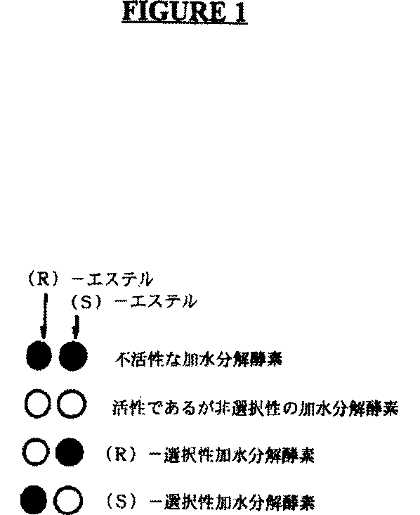 Jp2004513601a 選択性酵素のためのｐｈ指示薬に基づくアッセイ Google Patents