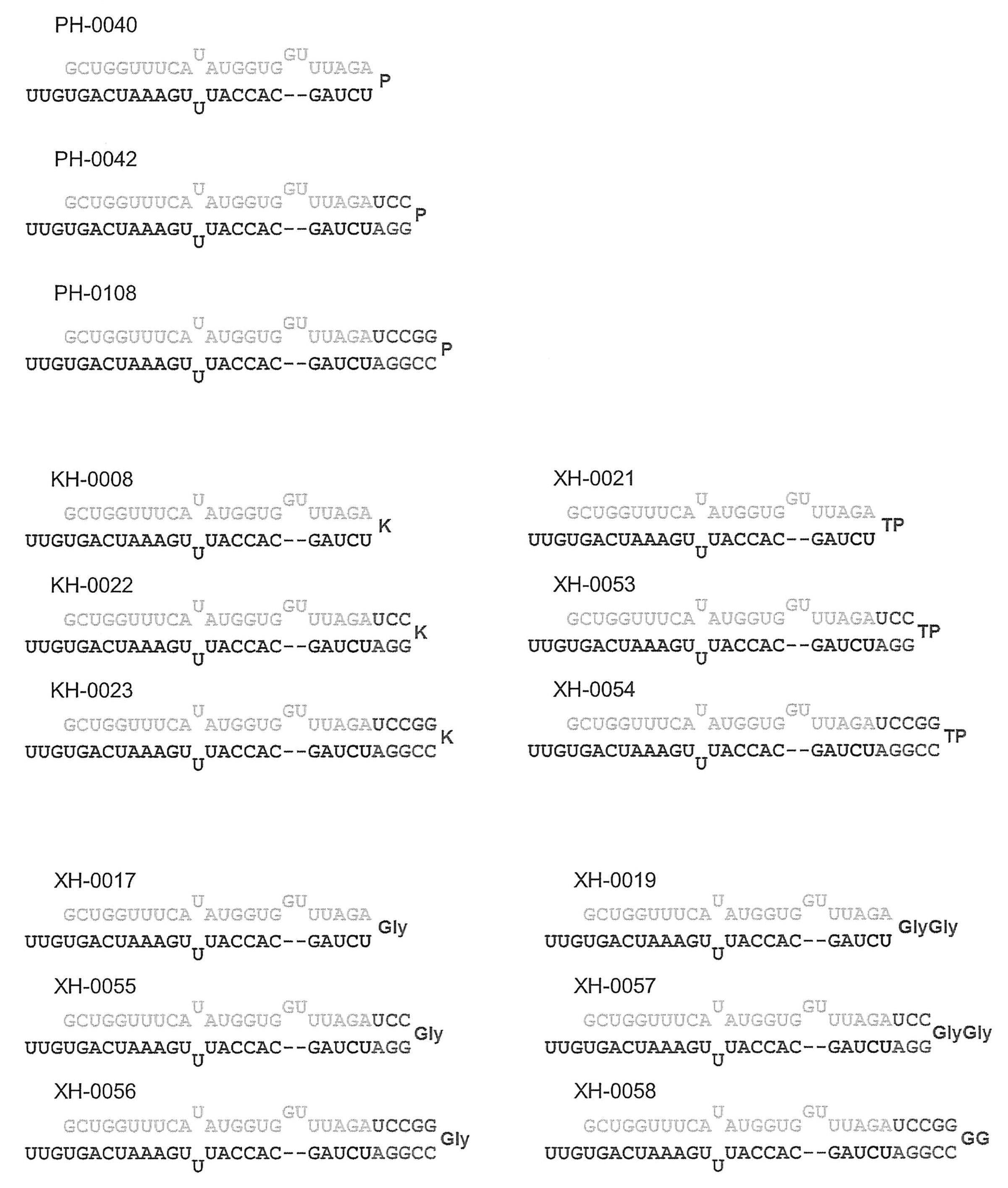 Figure JPOXMLDOC01-appb-C000046