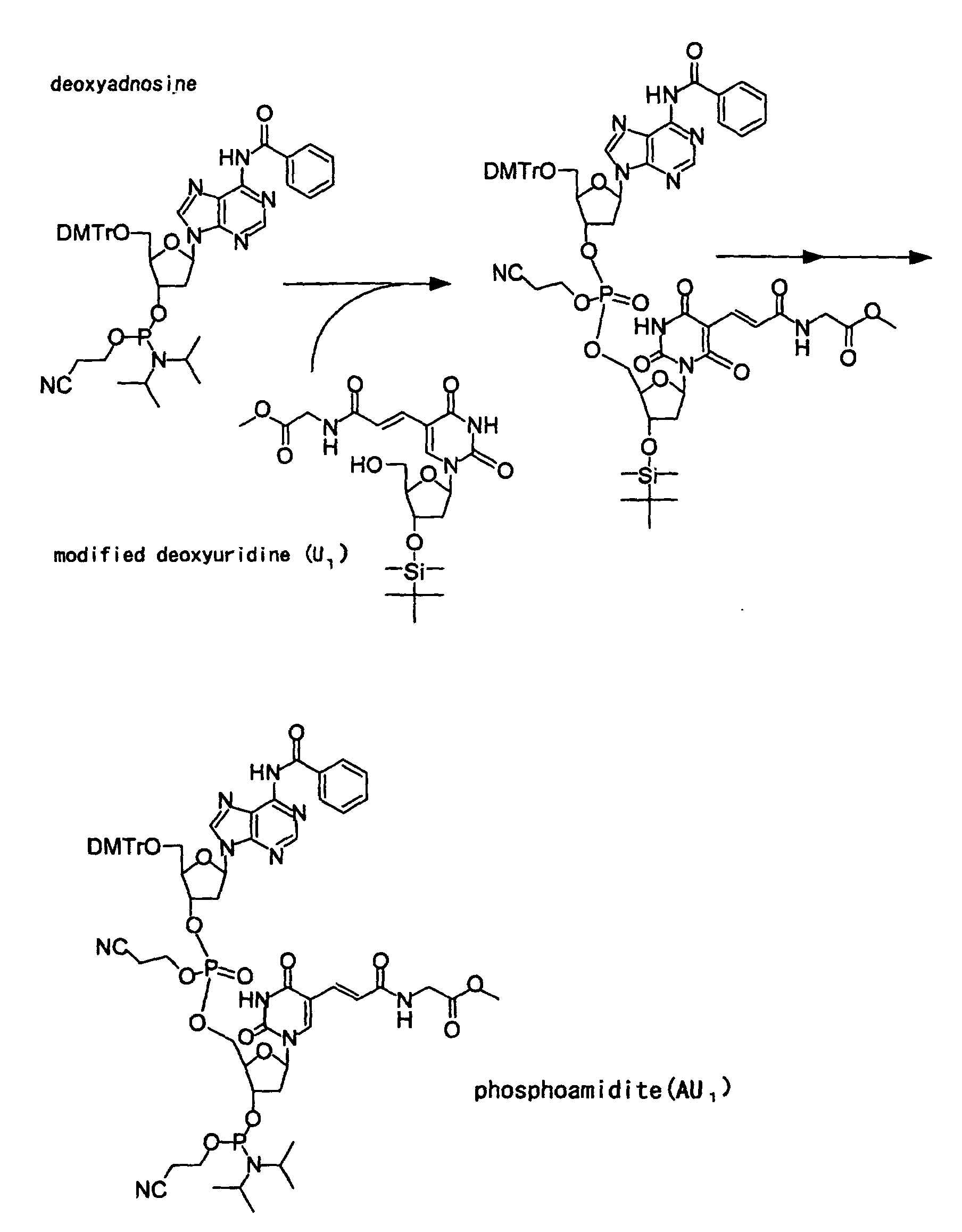 Figure 00420001