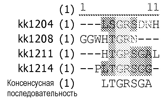 Prostatitis pekingi
