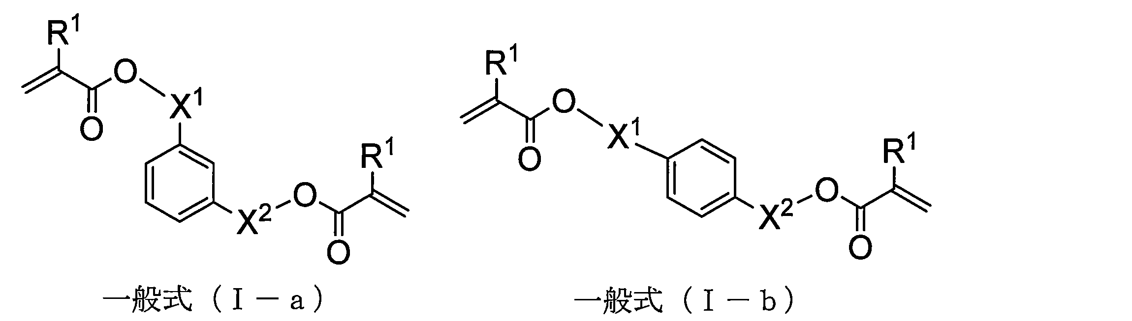 Figure JPOXMLDOC01-appb-C000012