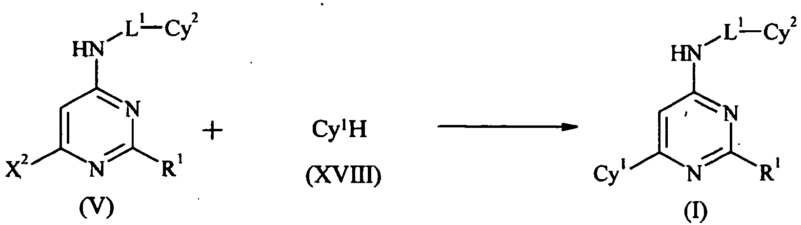 Figure imgb0051