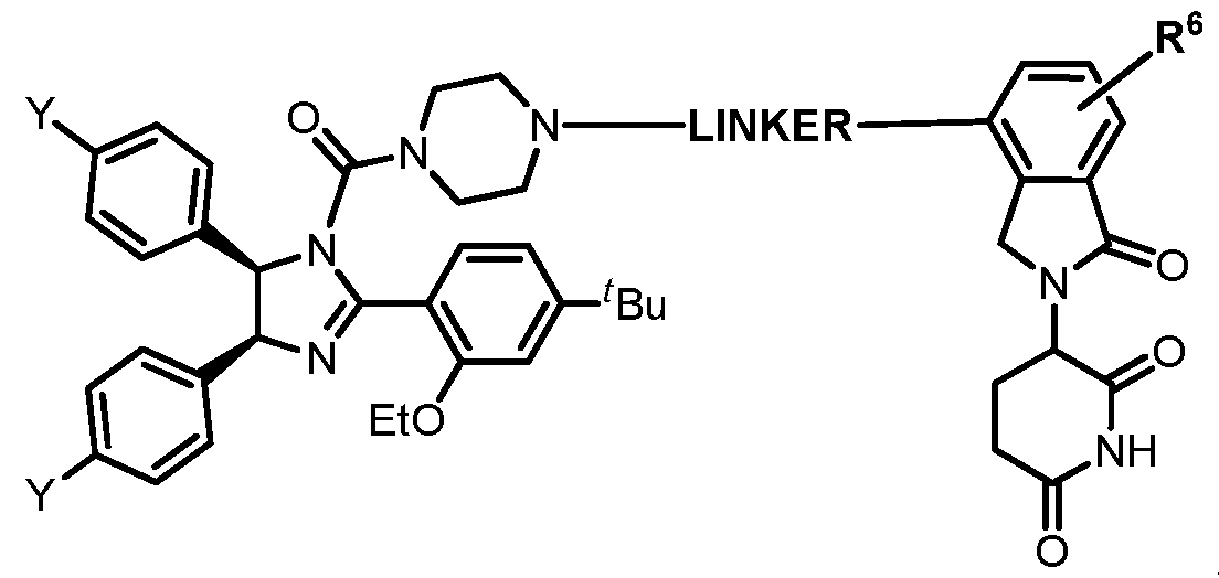 Figure imgf000007_0002