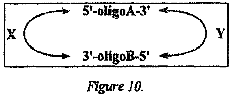 Figure imgb0022