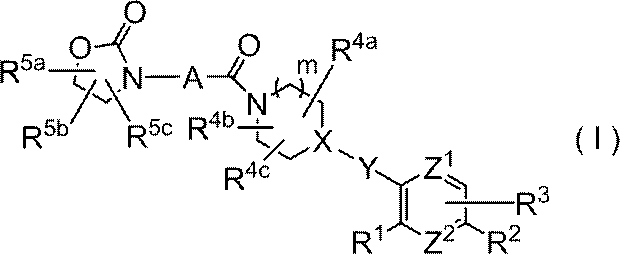 Figure JPOXMLDOC01-appb-C000005