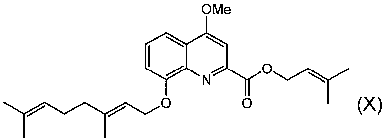 Figure JPOXMLDOC01-appb-C000030