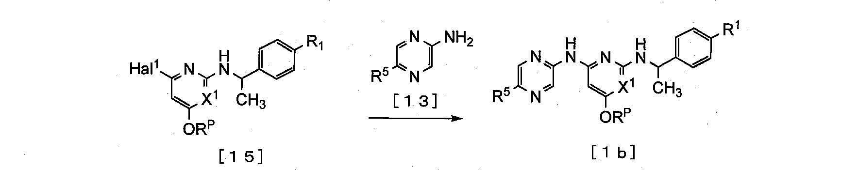 Figure JPOXMLDOC01-appb-C000046