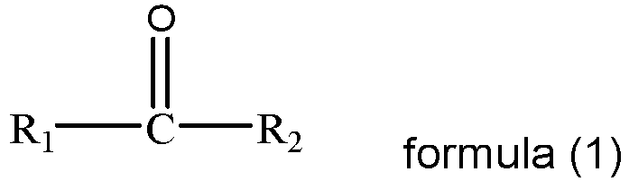 Figure imgb0004