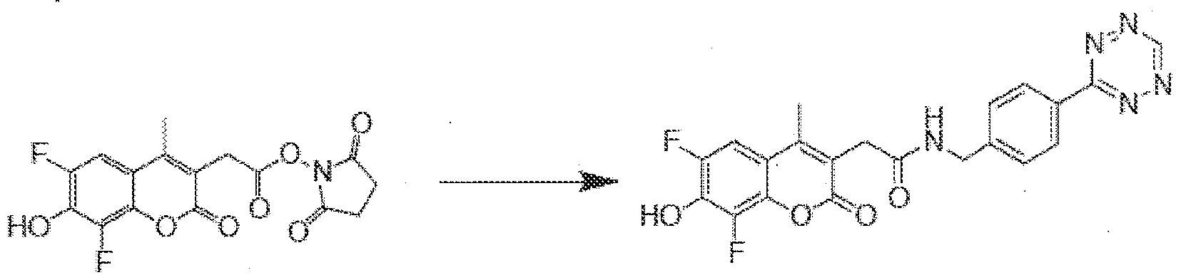 Figure imgf000079_0002