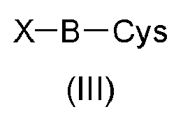 Figure imgb0025
