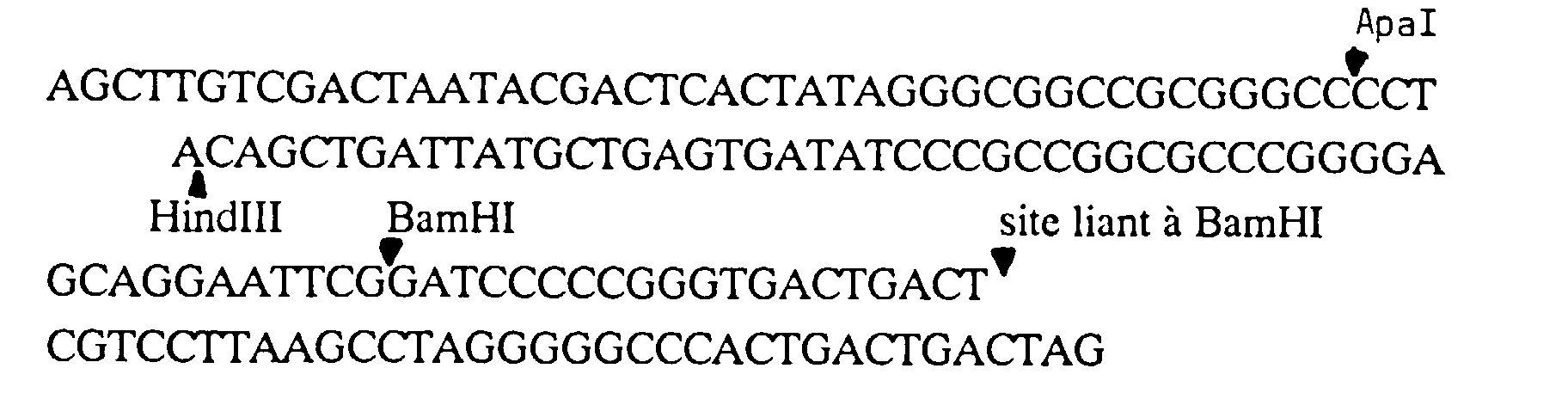 Figure 00170001