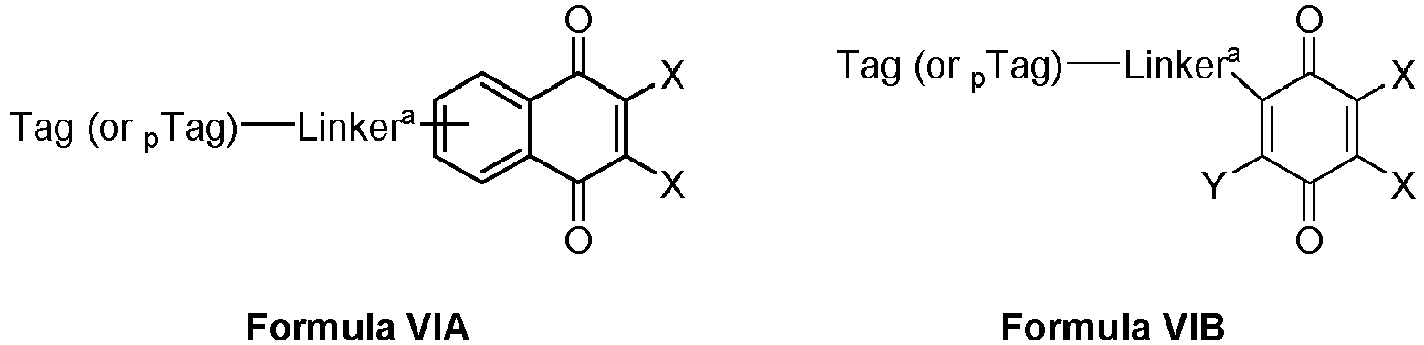 Figure imgb0100