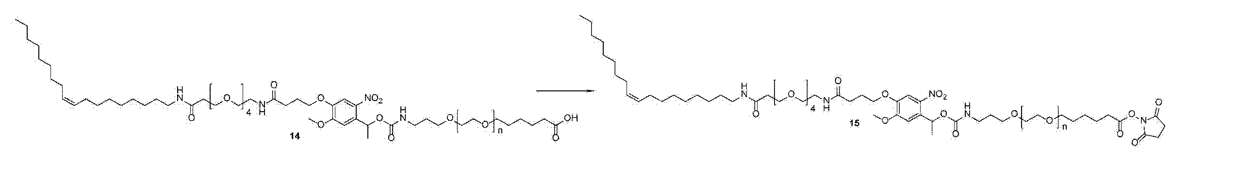 Figure JPOXMLDOC01-appb-C000017